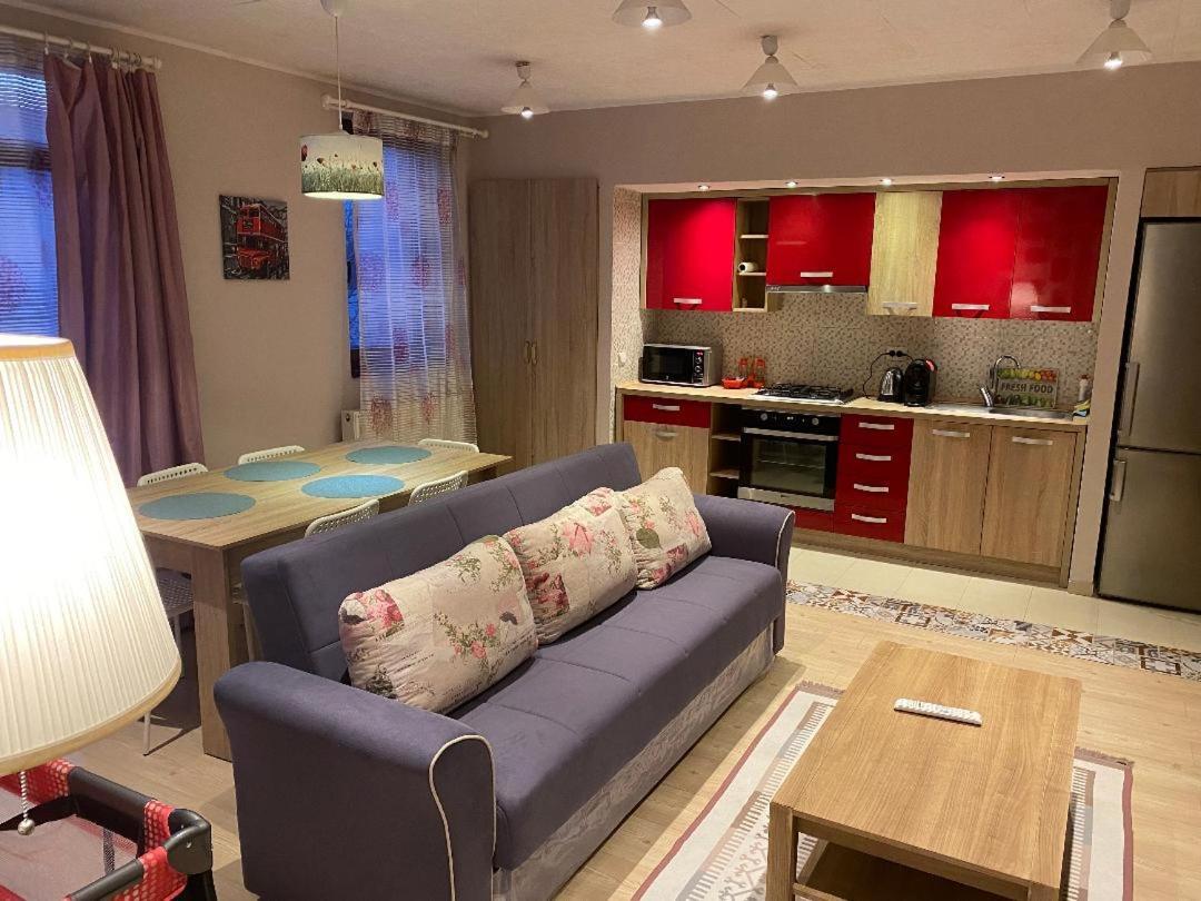 Apartamento Igi Red Flat With Free Private Parking Cluj-Napoca Exterior foto